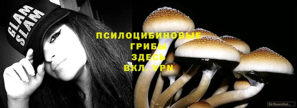 прущие крисы Абдулино