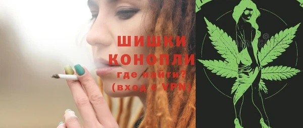 твердый Абаза