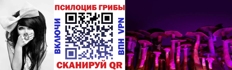 Псилоцибиновые грибы мухоморы  цена наркотик  Богородицк 